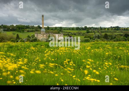 Bliss Tweed Mill over a buttercup meadow in the Cotswolds, Chipping Norton, Gloucestershire, England.  Spring (May) 2024. Stock Photo