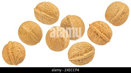 Whole walnuts isolated on white background, full depth of field Stock Photo