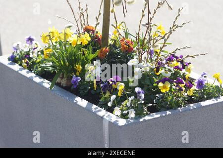 Frohe Ostern, Happy Easter Stock Photo