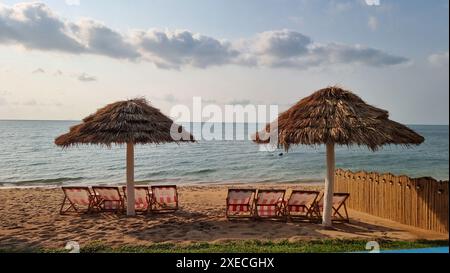 Two colorful umbrellas stand tall on a sandy beach, their vibrant hues contrasted against the soft golden grains Stock Photo