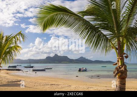 Palm trees on tropical beach, Preskil Island Resort, Mahebourg, Mauritius, East Africa.  Summer (June) 2024. Stock Photo