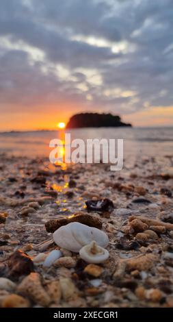 The sun sets gracefully over the calm ocean, casting a warm glow on the sandy beach scattered with beautiful shells Stock Photo