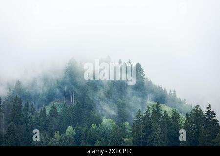 Spielberg, Autriche. 27th June, 2024. Landscape during the Formula 1 Qatar Airways Austrian Grand Prix 2024, 11th round of the 2024 Formula One World Championship from June 28 to 30, 2024 on the Red Bull Ring, in Spielberg, Austria - Photo Florent Gooden/DPPI Credit: DPPI Media/Alamy Live News Stock Photo