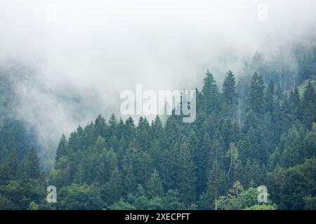 Spielberg, Autriche. 27th June, 2024. during the Formula 1 Qatar Airways Austrian Grand Prix 2024, 11th round of the 2024 Formula One World Championship from June 28 to 30, 2024 on the Red Bull Ring, in Spielberg, Austria - Photo Florent Gooden/DPPI Credit: DPPI Media/Alamy Live News Stock Photo