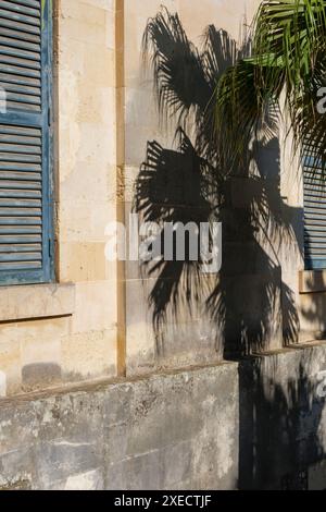 Shadow of a palm tree on a stone building. Stock Photo