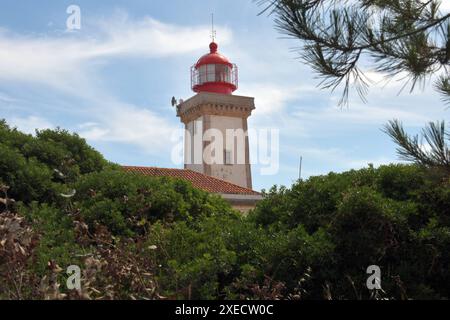 Portugal, Lagoa, 11.06.2024 Lagoa liegt zwischen Portimao und Albufeira an der Felsalgarve in Suedportugal. Zum Kreis gehoeren die fuenf Gemeinden Carvoeiro, Ferragudo, Porches, Parchal und EstÃ mbar. Foto: der Leuchtturm Farol de Alfanzina bei Carvoeiro, an der Felsenkueste Stadt Alte *** Portugal, Lagoa, 11 06 2024 Lagoa is situated between Portimao and Albufeira on the rocky Algarve in southern Portugal The district includes the five municipalities of Carvoeiro, Ferragudo, Porches, Parchal and Estàmbar Photo of the Farol de Alfanzina lighthouse near Carvoeiro, on the rocky coast of the town Stock Photo