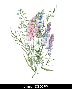 Watercolor wildflowers bouquet. Botanical arrangement of wild flowers and herbs. Summer floral composition Stock Photo