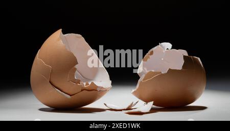 Broken organic egg shells that are brown on a whiite table with a black background. Stock Photo