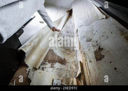 Terrible damp and mold on the walls and ceiling of a rented house covering the front room. Stock Photo