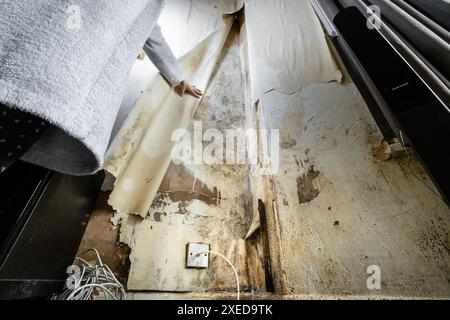 Terrible damp and mold on the walls and ceiling of a rented house covering the front room. Stock Photo