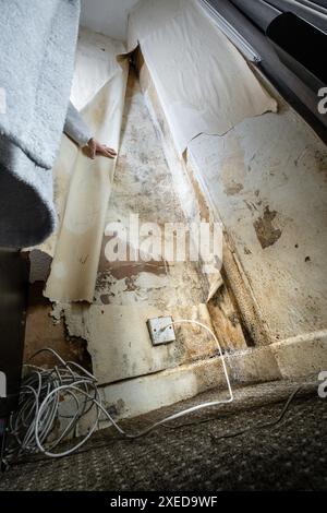 Terrible damp and mold on the walls and ceiling of a rented house covering the front room. Stock Photo