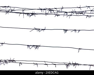 Barbed wire on fence isolated on white background Stock Photo
