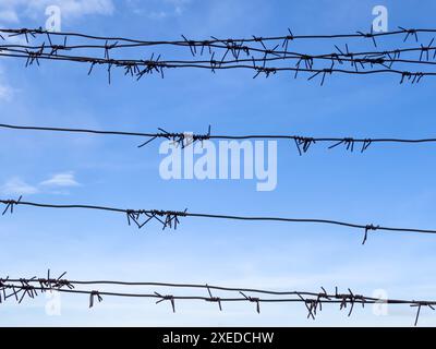 Barbed wire on fence with blue sky on background. Security concept Stock Photo