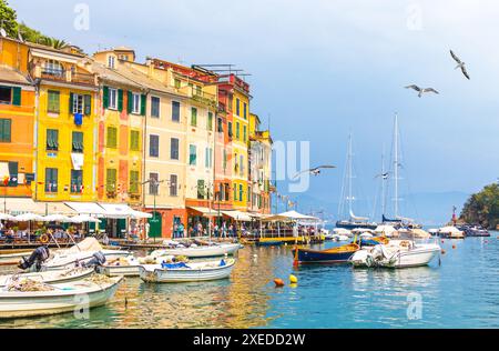 Portofino with colorful houses and villas in little bay harbor. Liguria, Italy, Europe with seagulls Stock Photo