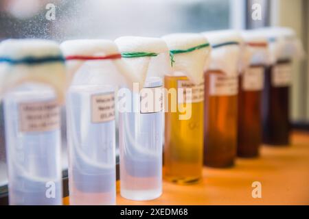 Laboratory Glassware Stock Photo