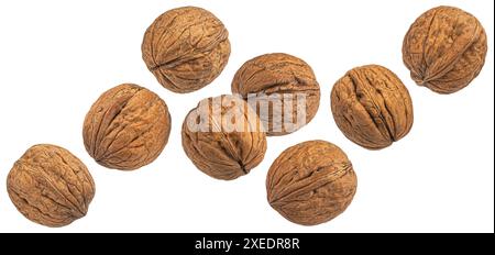 Whole walnuts isolated on white background, package design element Stock Photo