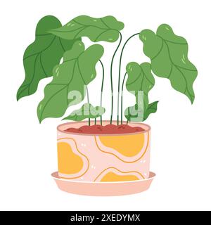 Vector illustration of a home plant in a pot with an ornament. Cartoon hand drawn style. Stock Vector