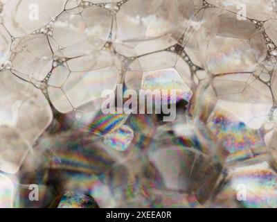 Abstract background with a mass of soap bubles with iridescent surfaces Stock Photo