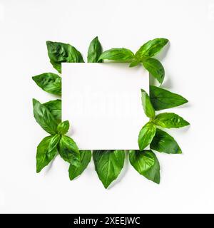 White paper square on green basil leaves Stock Photo