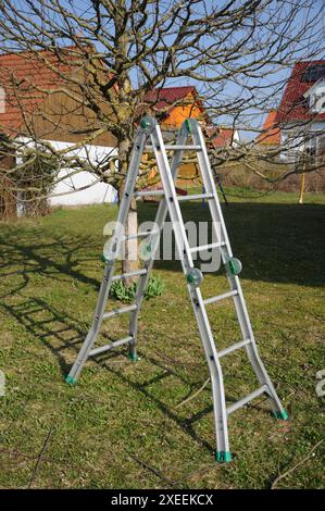 Stehleiter, stepladder Stock Photo