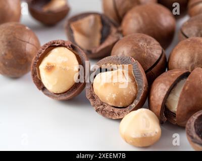 Set macadamia nuts isolated Stock Photo