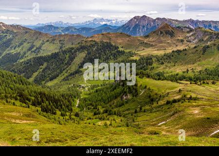 Green alpine meadows and coniferous forest line the Salzburger Almenweg below the 2,189-metre Filzmooshörndl in the Großarl Valley, Salzburg, Austria. The Filzmoosalm lies in the valley basin below. The view reaches distant snow-covered peaks on the horizon. Stock Photo