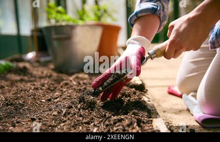 Close Up Of Woman Gardening In Greenhouse Preparing Soil For Planting Seeds Stock Photo