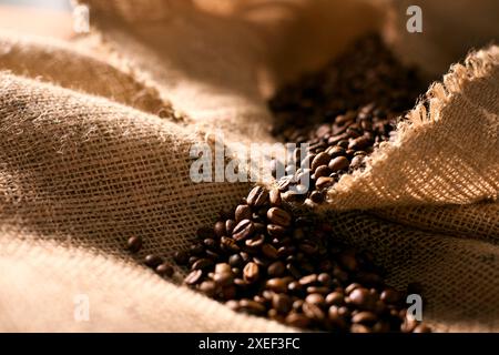 Close Up Studio Shot Of Roasted Coffee Beans In Hessian Or Burlap Sack Stock Photo