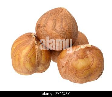 Three hazelnuts on isolated background Stock Photo