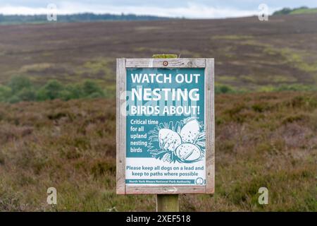 Nesting birds sign by the North York Moors National Park Authority, asking people to keep dogs on a lead and keep to paths, North Yorkshire, England, Stock Photo