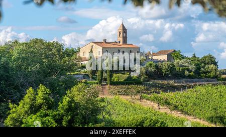 San Gimignano, Italy; June 27, 2024 - A distant view of San Gimignano ...