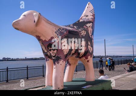 Superlambanana is a bright sculpture on the pier head in Liverpool, England. Stock Photo