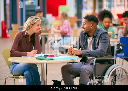 Two College Or University Students With One In Wheelchair Working Together In Study Area Stock Photo