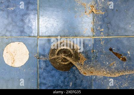 Old light switch with cobwebs Stock Photo