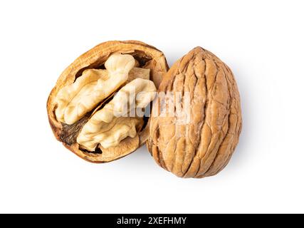 Walnut on white background Stock Photo
