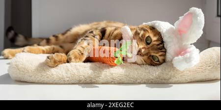 Bengal cat with a carrot toy and a headband with ears on his head. Stock Photo