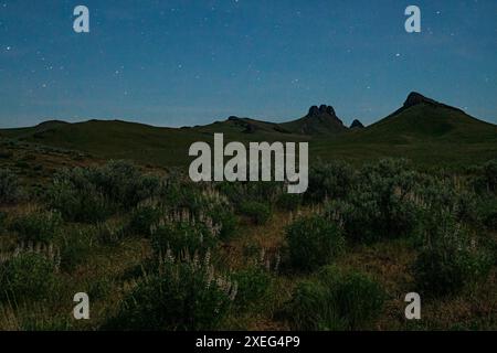 Moonlilght at Three Fingers Rock, with lupines in the foreground,  in the uplands area of Oregon's Owyhee Canyonlands. Stock Photo