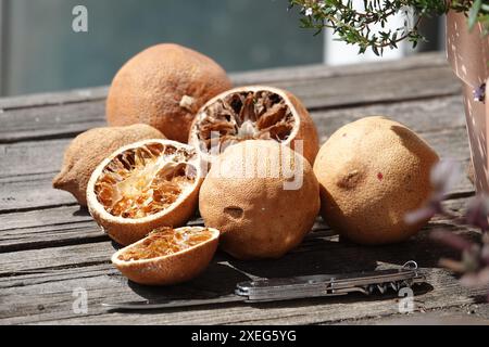 Citrus sinensis, Orangen, dried Stock Photo