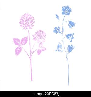 Vector clover and bluebell. Hand painted flower. Graphic trefoil isolated on background. Botanical and wedding illustration. For designers Stock Vector