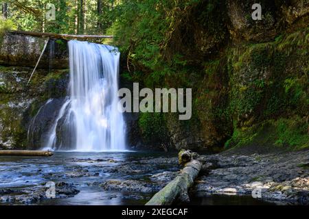 Waterfall at North Fork Silver Creek flows over Upper North Falls in a slow motion silky curtain of white water Stock Photo