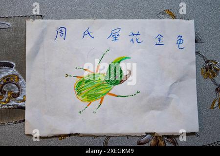 A child's drawing of a green beetle, with name labelled in Chinese writing. Sabah, Borneo, Malaysia. Stock Photo