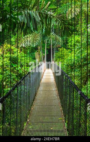 Suspension bridge at Mistico Hanging Bridges, Alajuelo Province, Costa Rica Stock Photo