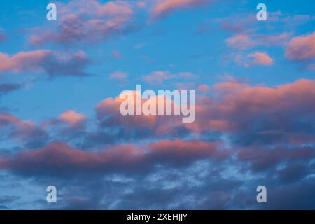 Dramatic sunset or sunrise scene. Pink and purple summer clouds against blue sky Stock Photo