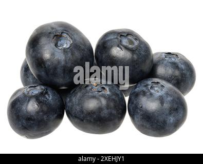 Stack of fresh blueberries on isolated background Stock Photo