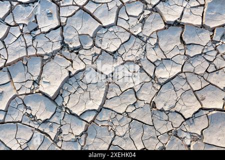 Dry cracked earth, parched land, Earth dirt texture background of brown mud, arid soil, Dry cracked earth texture, cracked earth, Dry mud, broken text Stock Photo