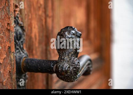 Metal lion-shaped door handle 1 Stock Photo