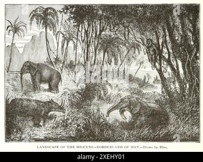 LANDSCAPE OF THE MIOCENE - BORDERLAND OF MAN Drawn by Riou.from volume 1 of Ridpath's Universal history : an account of the origin, primitive condition and ethnic development of the great races of mankind, and of the principal events in the evolution and progress of the civilized life among men and nations, from recent and authentic sources with a preliminary inquiry on the time, place and manner of the beginning by Ridpath, John Clark, 1840-1900 Published in 1897 Stock Photo