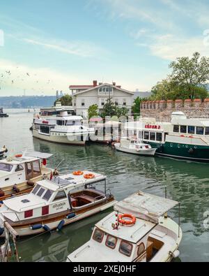 Goksu Stream, with docked group of different shapes, sizes and colors boats, located beside Anadolu Hisari historic castle on the Anatolian side of the Bosporus in Beykoz district, Istanbul, Turkey Stock Photo