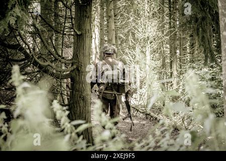 Rear view of a World War 2 (WW2) soldier on patrol, in full uniform, with a machine gun, walking away through a conifer wood Stock Photo