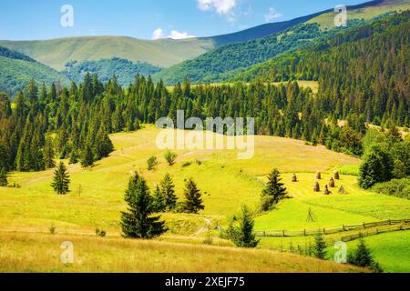 rural scenery with field on a hill. haystacks on a green grassy meadow. beautiful countryside landscape on a summer day in mountains. transcarpathian Stock Photo